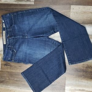 Nine West Vintage America Boot Cut Classic Rise Jeans Size 10/29